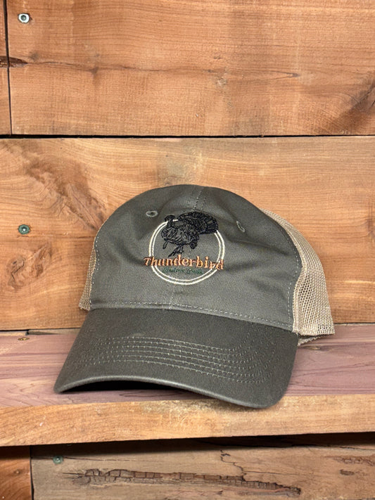 Thunderbird logo mesh back
