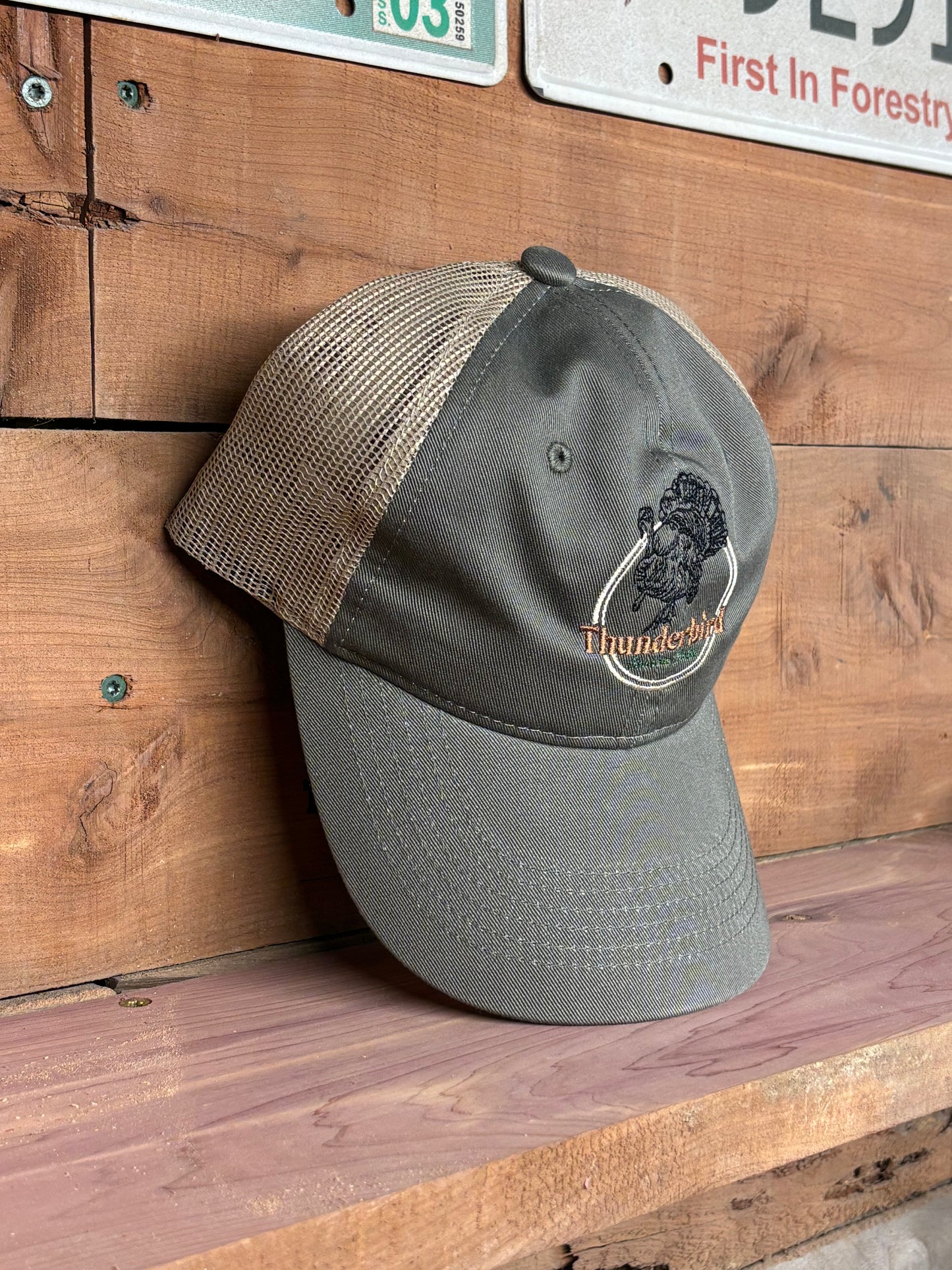 Thunderbird logo mesh back